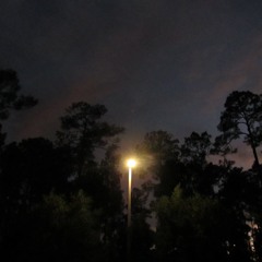 Gainesville, FL - The Slut And The Falcon (Cover)