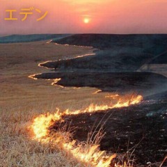 The Woman (Prod. bsd.u)