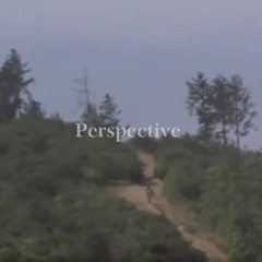 PERSPECTIVE (YMO cover)