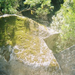 Norwegian Wood - The Beatles (Cover)