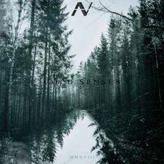 Almost Vanished - Nightside