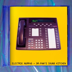 Are Sounds Electrik?