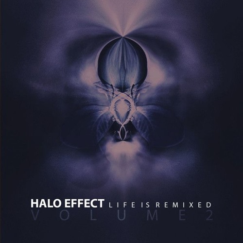 Halo Effect - Teddy Boy (ILLNURSE Remix)