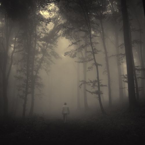 Egomorph - Abgrund Of Mind