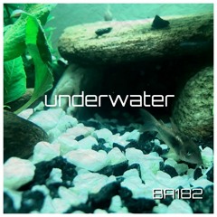 B-A 182 underwater