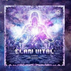InnerSelf - Circle Of Dreams - V.A. Elan Vital (Melusine Records)