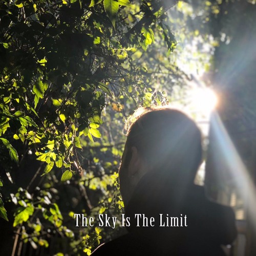 THE SKY IS THE LIMIT