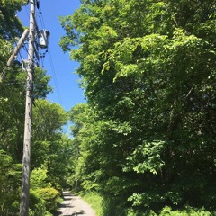 【2hours DTM】Fine