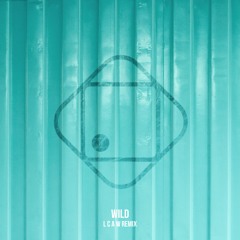 Hugo Helmig - Wild ( LCAW Remix Radio Edit )