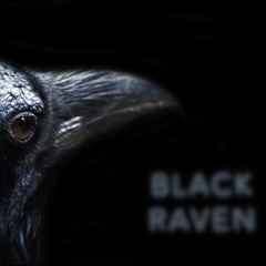 Damian Kądziela - Black Raven
