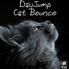 Cat Bounce