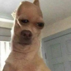 t u d o c e r t o ft. vinivinivini.