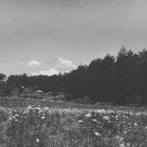 lost in transit