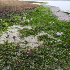 Tanker Om Regn (Bjerring&Flyvbjerg)