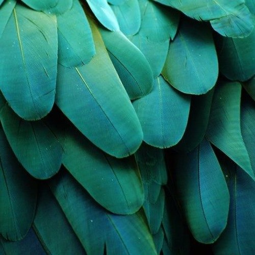 Vlad Sóro - ''A Journey between Past and Present'', part 1.