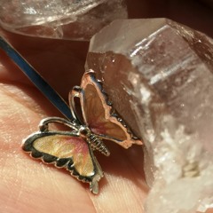 Butterfly ft. Nana Ostara