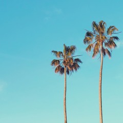 JERRY FOLK  Sunset Session In LA W Mixmag X Rekorderlig