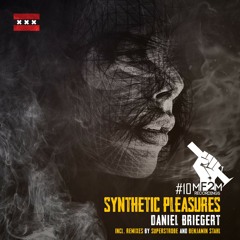 Daniel Briegert - Synthetic Pleasures
