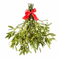 Mistletoe