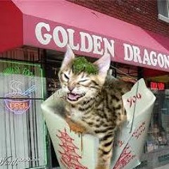 Chinese Food Take Your Time