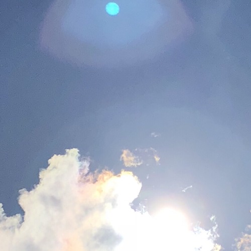 freebird ii (parquet courts cover)