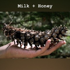 Milk + Honey