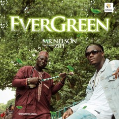 Mr Nelson Evergreen Ft Zippy