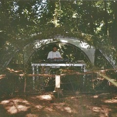 Goasis Live @ Apsara Festival 2018 - Ambient Forest