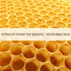 Straight From The BeeHive - November 2018