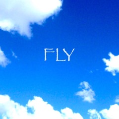 Fly