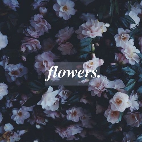 orel97 - flowers