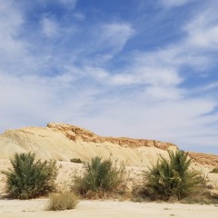 ORON K & DAN ORBACH - BERRY IN THE NOON (DAN HI MIX)