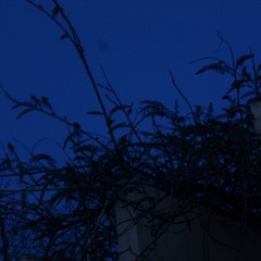 что такое любовь (горечь cover)