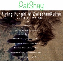 PatShay : Nightfullon/Twilight , TB3 mix by Psylonix @ Zwischenkultur Basel 3.11.2018