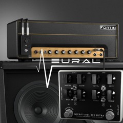 Neural DSP Tone Test (Fortin + Darkglass)