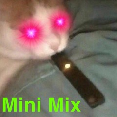 MINI MIX