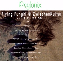 Psylonix : Psychadelic Goa Psytrance @ Zwischenkultur Basel 3.11.2018