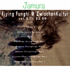 Jamura : Melodic Fullon Goa @ Zwischenkultur Basel 3.10.2018