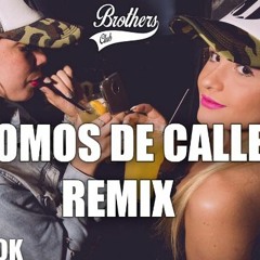 SOMOS DE CALLE REMIX ✘ DADDY YANKEE ✘ DJ ALEX [FIESTERO REMIX]