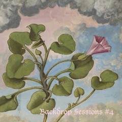 Spring Winds /// Miss Hay