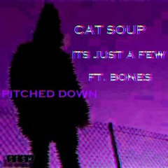 CAT SOUP - ITS JUST A FEW [FEAT. BONES] (PITCHED DOWN)