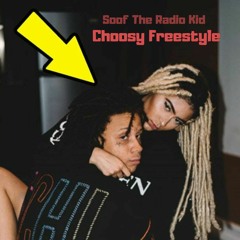 Choosy Freestyle(Ayleks Diss)