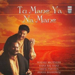 TU MANE YA NA MANE DILDARA ( 256kbps cbr ).mp3