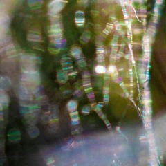 SURREAL - COMPLETE DETERIORATION OF THE VOID