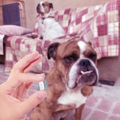 Sad Sax - The Placebo Effect (Produced By Jay Fehrman)