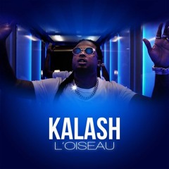 KALASH - L'OISEAU by Vanosdj