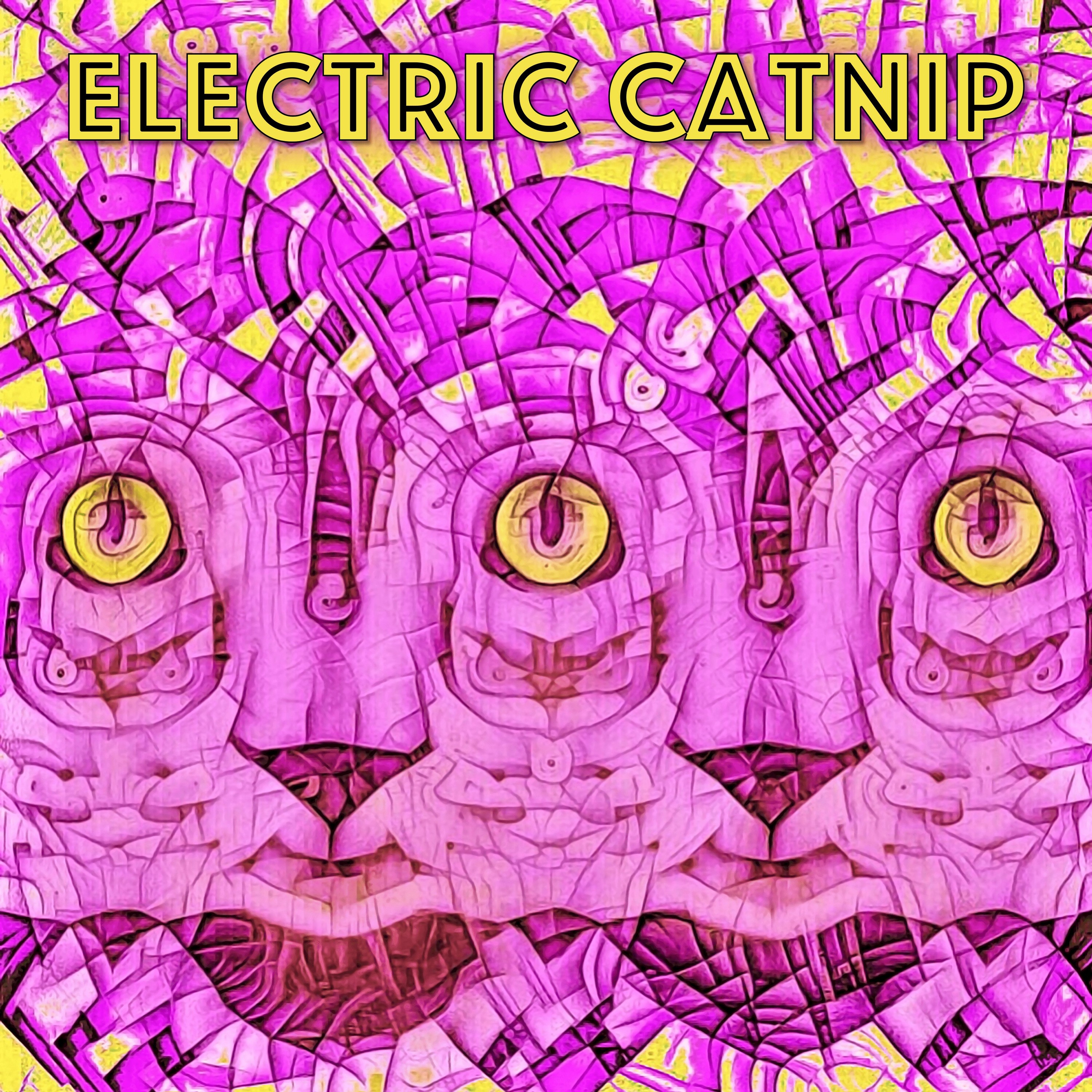 Electric Catnip