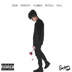 "YOU" - Even Perfect Flower Petals Fall - Benjamin Hall