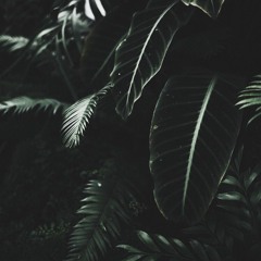 the place that we'd meet