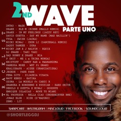 THE SECOND WAVE pt ONE